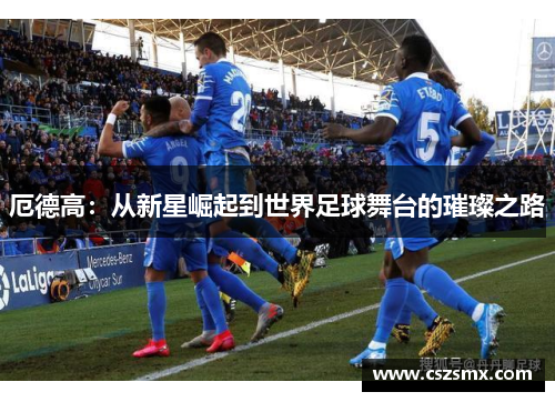 厄德高：从新星崛起到世界足球舞台的璀璨之路