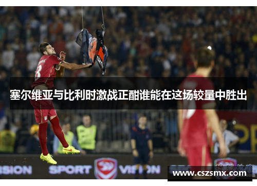 塞尔维亚与比利时激战正酣谁能在这场较量中胜出