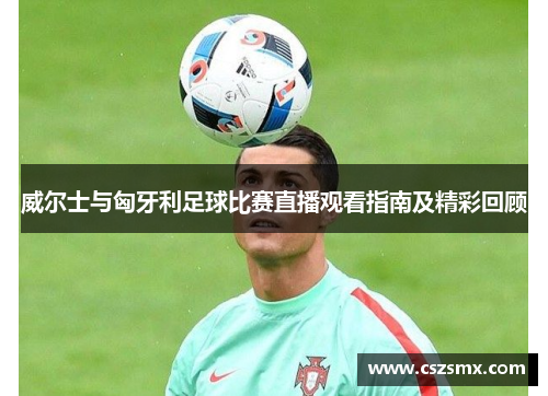 威尔士与匈牙利足球比赛直播观看指南及精彩回顾