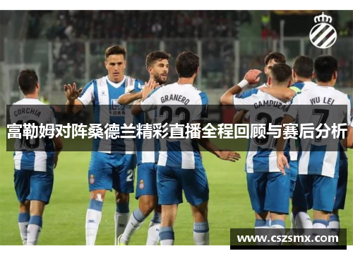 富勒姆对阵桑德兰精彩直播全程回顾与赛后分析