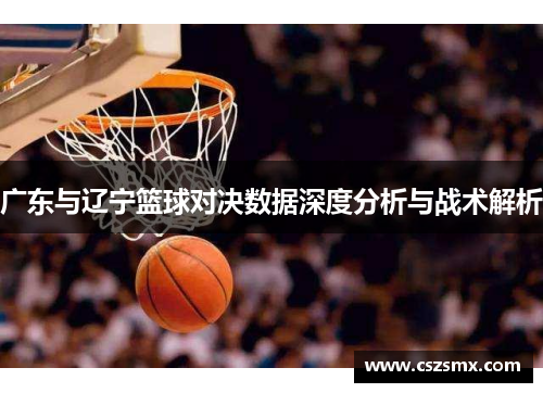 广东与辽宁篮球对决数据深度分析与战术解析